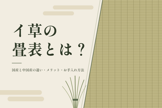 イ草の畳表とは？国産と中国産の違い・メリット・お手入れ方法